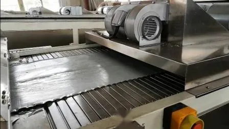 Machine de revêtement en poudre pour poudre de plastique thermodurcissable/Processus de fabrication de peinture en poudre/Poudre électrostatique/Processus de fabrication de poudre de revêtement