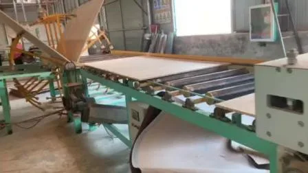 Chine Qingdao Machines à bois Ponceuse à bande large en contreplaqué double face
