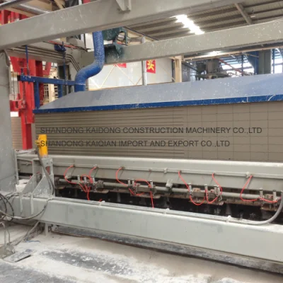 Machine légère 20000m3 de panneau de mur d'usine de dalle d'AAC
